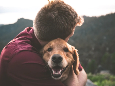 60 legendas para foto com cachorro que demonstram seu amor pelo pet