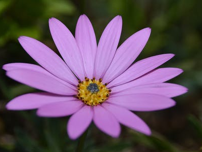 60 frases de gratidão para foto que mostram a importância de agradecer