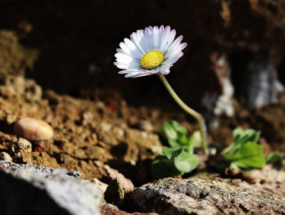 70 frases de positividade para foto que carregam boas energias