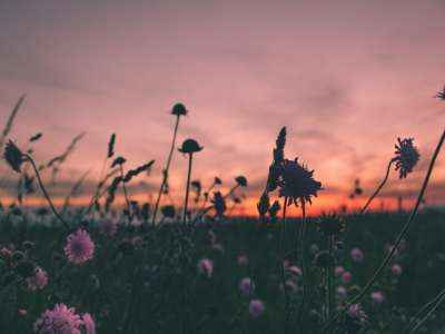 50 frases para foto de paisagem para uma legenda tão boa quanto o retrato