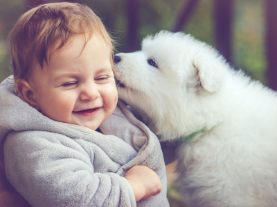 60 frases fofas para foto que marejam os olhos de tanta graça