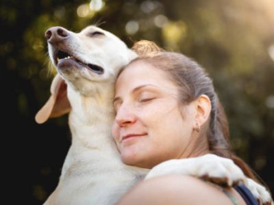 60 frases para foto com animais que esbanjam pureza e amor